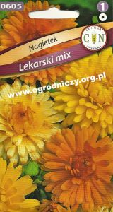 Nagietek Lekarski mix